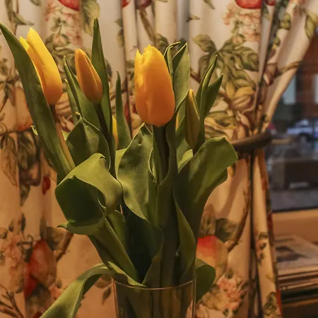 호텔 Alpenhotel Tauernstueberl