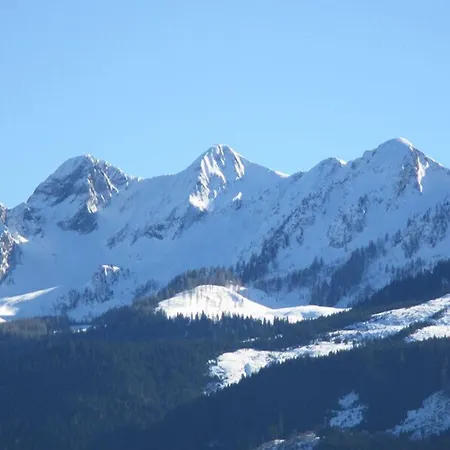 Alpenhotel Tauernstueberl 3* Zell am See