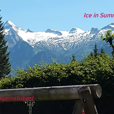 Alpenhotel Tauernstueberl Hotel Zell am See