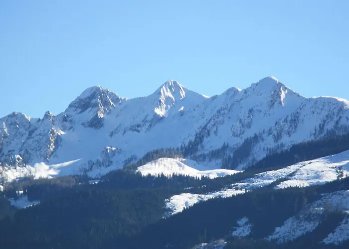 Alpenhotel Tauernstueberl 3* 젤암제