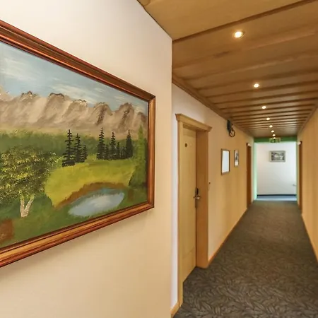 Alpenhotel Tauernstueberl Otel 3*