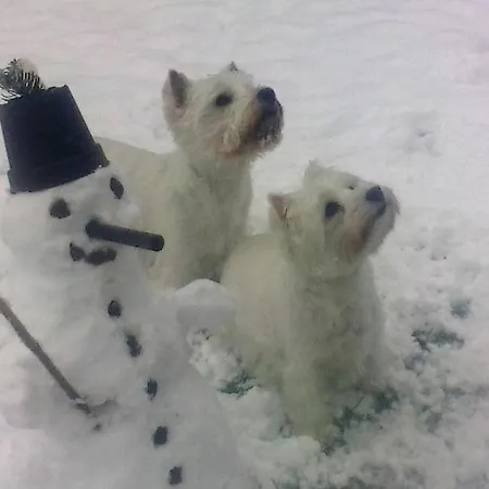 Alpenhotel Tauernstueberl
