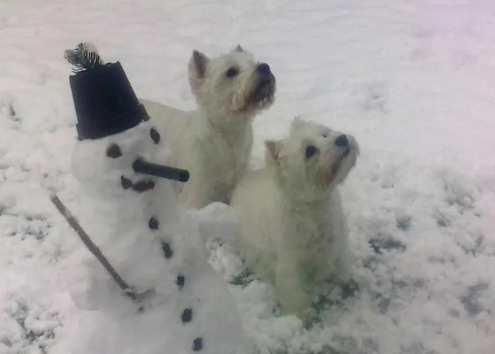 Alpenhotel Tauernstueberl